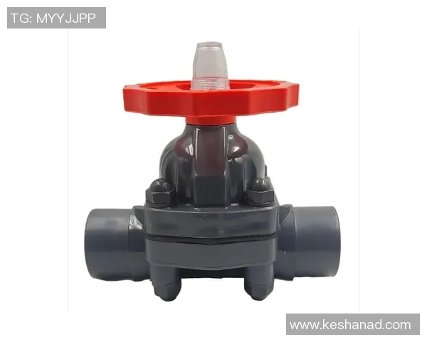 水管阀门：关键设施的控制与管理